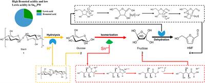 Catalytic Conversion of Starch to 5-Hydroxymethylfurfural by Tin Phosphotungstate